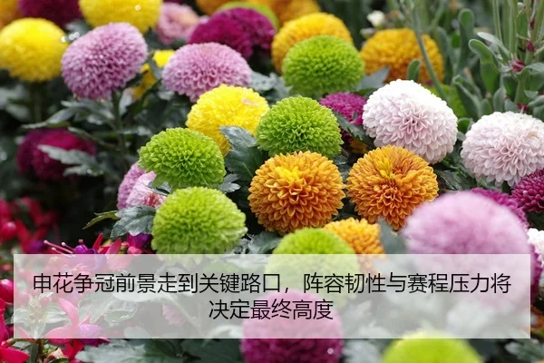 申花争冠前景走到关键路口，阵容韧性与赛程压力将决定最终高度